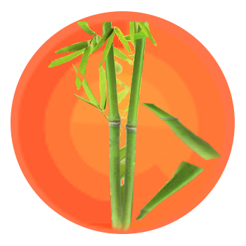 bamboologo