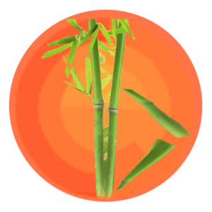 bamboologo