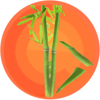 Bamboo Creative Bali