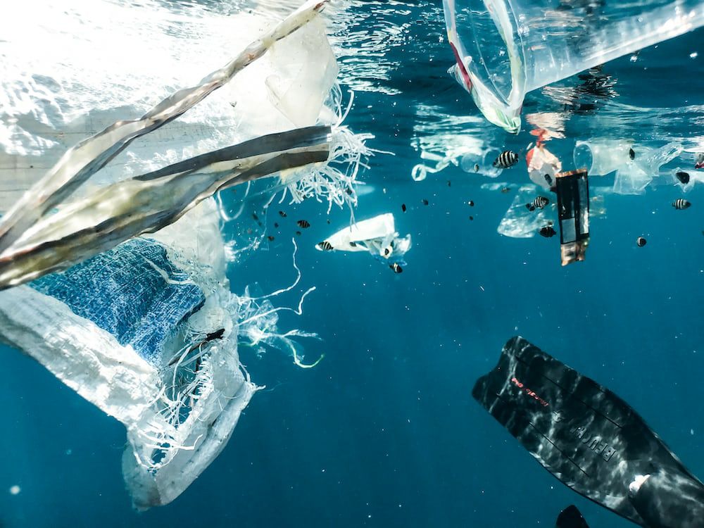 Photo of plastic waste floating in the ocean underwater (in indonesia)