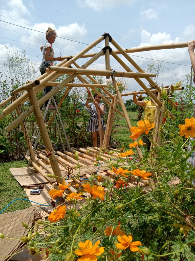 a female standing on a ladder atop a bamboo framed building (under construction) in a pretty natural landscape setting with orange flowers in the foreground